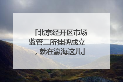 北京经开区市场监管二所挂牌成立，就在瀛海这儿