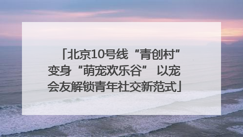 北京10号线“青创村”变身“萌宠欢乐谷” 以宠会友解锁青年社交新范式