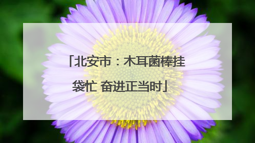 北安市：木耳菌棒挂袋忙 奋进正当时