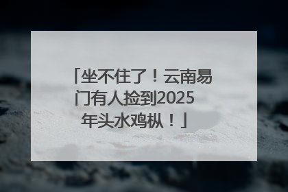 坐不住了！云南易门有人捡到2025年头水鸡枞！