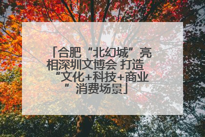 合肥“北幻城”亮相深圳文博会 打造“文化+科技+商业”消费场景