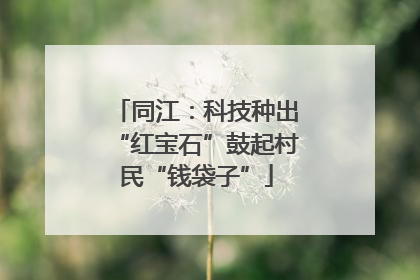 同江：科技种出“红宝石”鼓起村民“钱袋子”