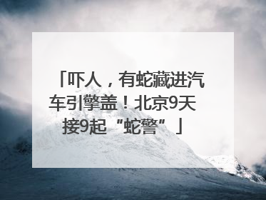 吓人，有蛇藏进汽车引擎盖！北京9天接9起“蛇警”