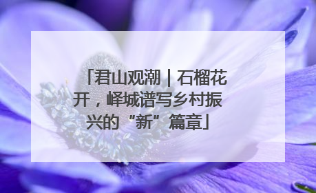 君山观潮｜石榴花开，峄城谱写乡村振兴的“新”篇章