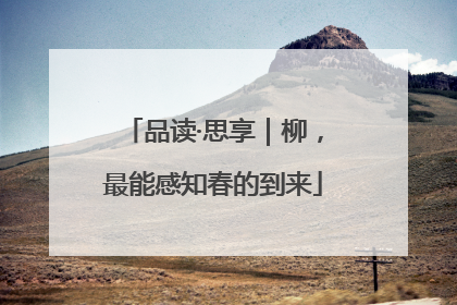 品读·思享｜柳，最能感知春的到来