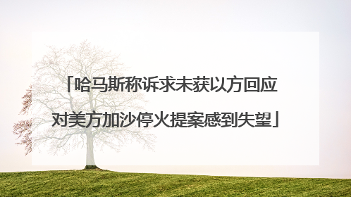 哈马斯称诉求未获以方回应 对美方加沙停火提案感到失望