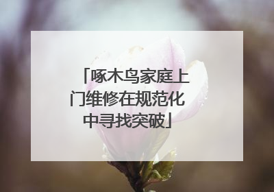 啄木鸟家庭上门维修在规范化中寻找突破