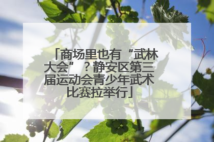 商场里也有“武林大会”？静安区第三届运动会青少年武术比赛拉举行