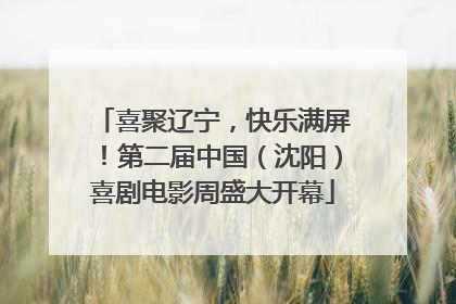 喜聚辽宁，快乐满屏！第二届中国（沈阳）喜剧电影周盛大开幕