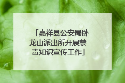 嘉祥县公安局卧龙山派出所开展禁毒知识宣传工作
