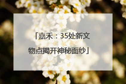嘉禾：35处新文物点揭开神秘面纱
