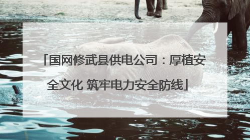 国网修武县供电公司：厚植安全文化 筑牢电力安全防线