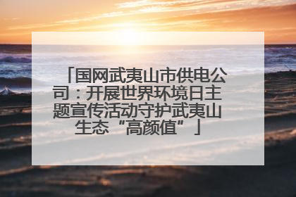 国网武夷山市供电公司：开展世界环境日主题宣传活动守护武夷山生态“高颜值”