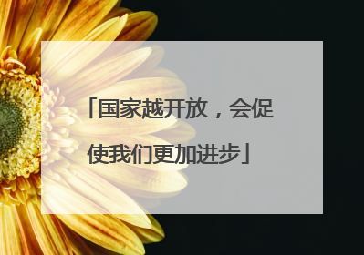 国家越开放，会促使我们更加进步