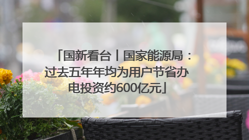 国新看台丨国家能源局：过去五年年均为用户节省办电投资约600亿元
