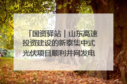 国资驿站｜山东高速投资建设的新泰集中式光伏项目顺利并网发电；国产电力机器人首次在智利电网应用