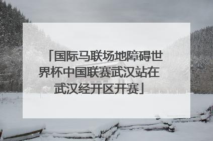 国际马联场地障碍世界杯中国联赛武汉站在武汉经开区开赛