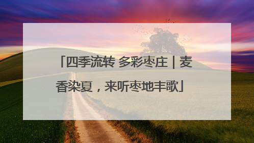 四季流转 多彩枣庄｜麦香染夏，来听枣地丰歌
