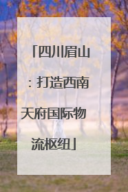 四川眉山：打造西南天府国际物流枢纽
