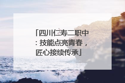 四川仁寿二职中：技能点亮青春，匠心接续传承
