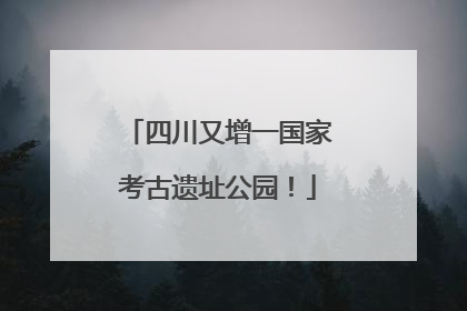 四川又增一国家考古遗址公园！