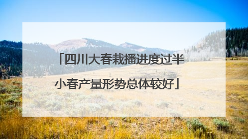 四川大春栽播进度过半 小春产量形势总体较好