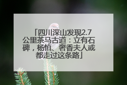 四川深山发现2.7公里茶马古道：立有石碑，杨慎、奢香夫人或都走过这条路