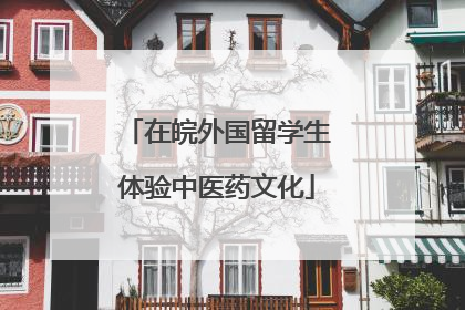 在皖外国留学生体验中医药文化