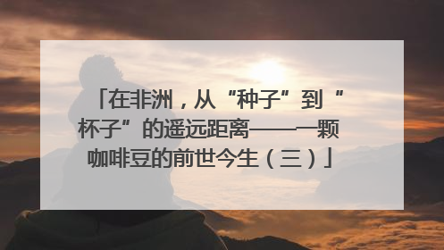 在非洲，从“种子”到“杯子”的遥远距离——一颗咖啡豆的前世今生（三）