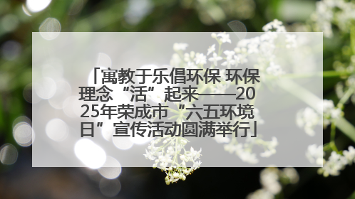寓教于乐倡环保 环保理念“活”起来——2025年荣成市“六五环境日”宣传活动圆满举行