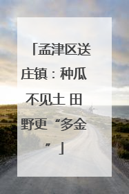 孟津区送庄镇：种瓜不见土 田野更“多金”