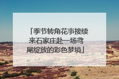 季节转角花事接续 来石家庄赴一场鸢尾绽放的彩色梦境