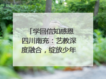 学回信知感恩 四川南充：艺教深度融合，绽放少年儿童风采｜您牵挂的四川