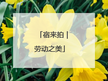 宿来拍｜劳动之美