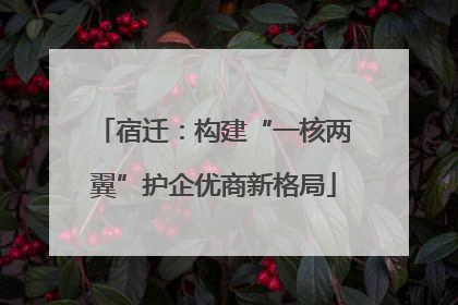 宿迁：构建“一核两翼”护企优商新格局