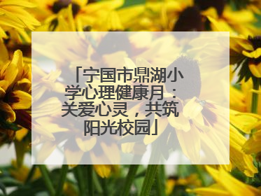 宁国市鼎湖小学心理健康月：关爱心灵，共筑阳光校园