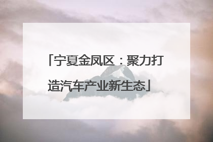 宁夏金凤区：聚力打造汽车产业新生态