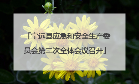 宁远县应急和安全生产委员会第二次全体会议召开