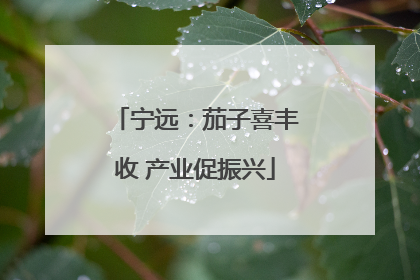 宁远：茄子喜丰收 产业促振兴
