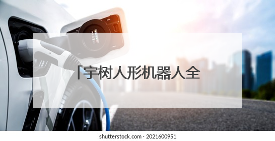 宇树人形机器人全球“格斗秀”，AI“拳王”硬核破圈