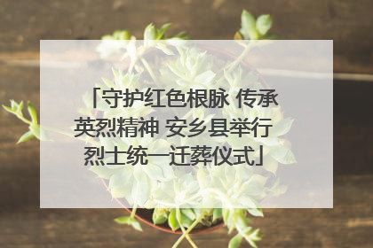 守护红色根脉 传承英烈精神 安乡县举行烈士统一迁葬仪式