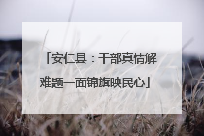 安仁县：干部真情解难题一面锦旗映民心