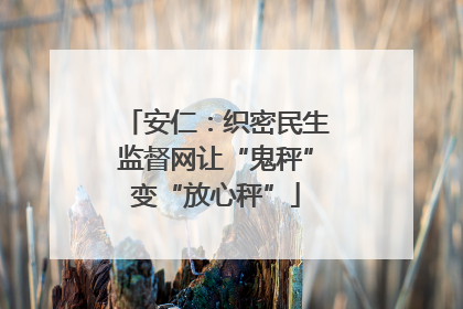 安仁：织密民生监督网让“鬼秤”变“放心秤”
