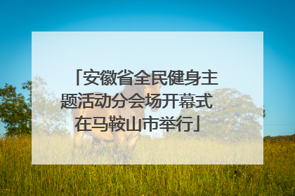 安徽省全民健身主题活动分会场开幕式在马鞍山市举行