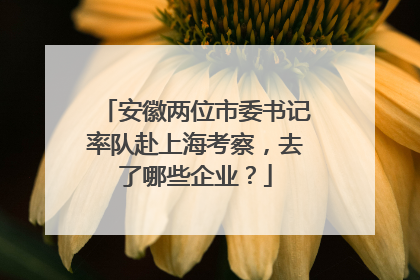 安徽两位市委书记率队赴上海考察，去了哪些企业？