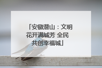 安徽潜山：文明花开满城芳 全民共创幸福城