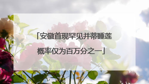 安徽首现罕见并蒂睡莲 概率仅为百万分之一