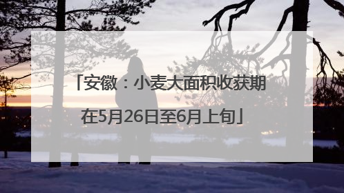 安徽：小麦大面积收获期在5月26日至6月上旬