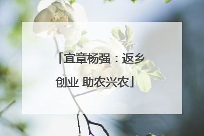 宜章杨强：返乡创业 助农兴农