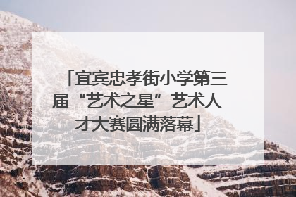 宜宾忠孝街小学第三届“艺术之星”艺术人才大赛圆满落幕